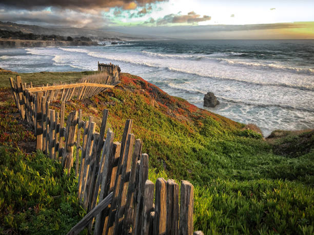 Northern California Coast looking toward sun in Sonoma County