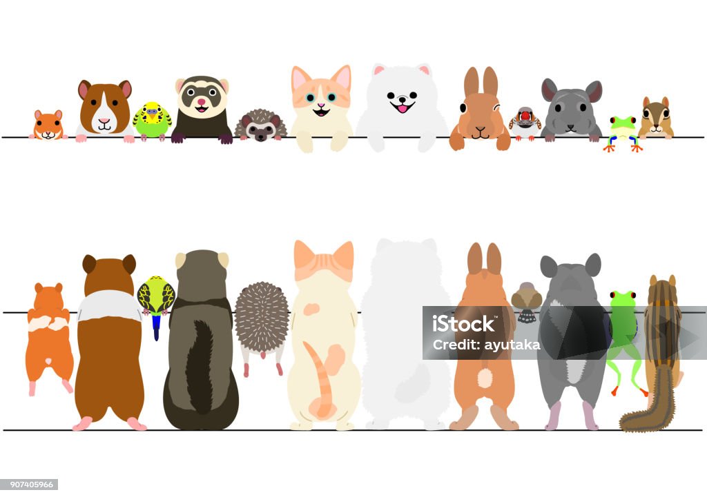 standing pet animals front and back border set standing pet animals front and back border set. Pets stock vector