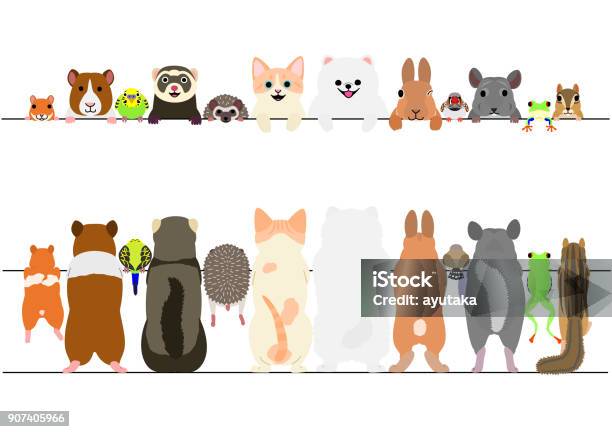 Standing Pet Animals Front And Back Border Set Stock Illustration - Download Image Now - Pets, Animal, Illustration