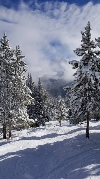 istock Winter Rocky Mountains landscape in Colorado 907418156