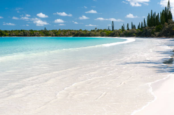Isle of Pines A white sand beach on the Isle of Pines, New Caledonia new caledonia stock pictures, royalty-free photos & images