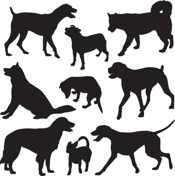 neun hunde silhouetten - golden retriever retriever white background isolated stock-grafiken, -clipart, -cartoons und -symbole