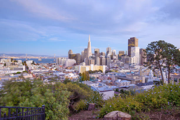istock modern buildings in modern city 907425646