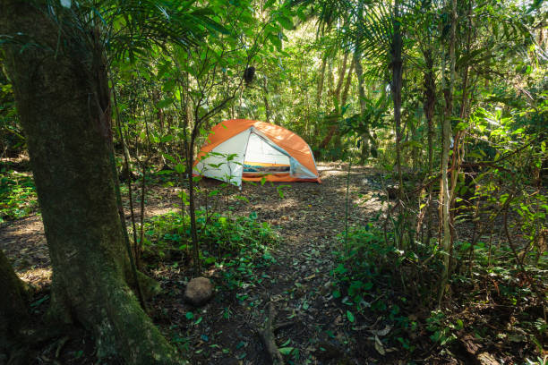 View from tent to small stream in Koscieliska valley