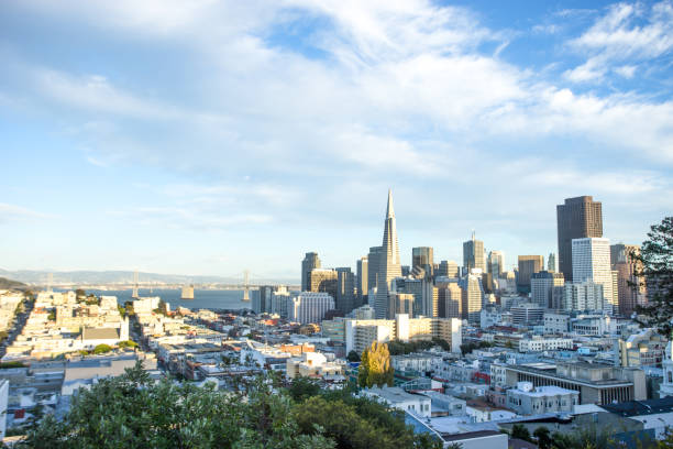 istock modern buildings in modern city 907428312