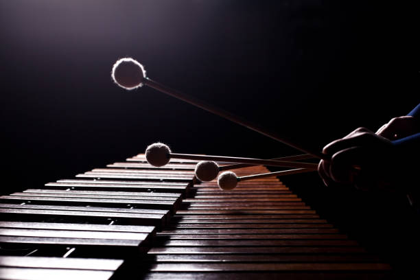 las manos de un músico tocando la marimba - carillon fotografías e imágenes de stock