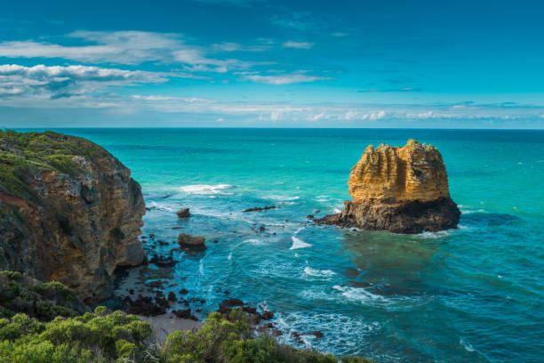 eagle rock australien paysage côtier calcaire formation près de split point, situé à la great ocean road, victoria, australie - australian culture sea coastline rock formation photos et images de collection