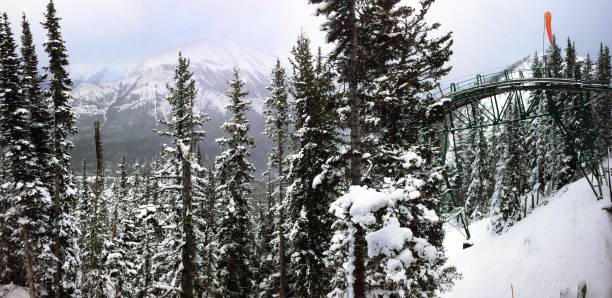 istock Winter landscape panoramic view from Sulphur Mountain in Banff, Alberta, Canada 907440430