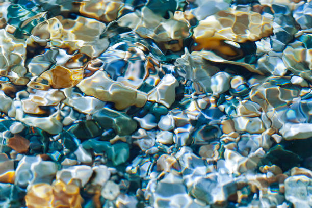 the sun shone through the stream on the pebbles. - river rocks imagens e fotografias de stock