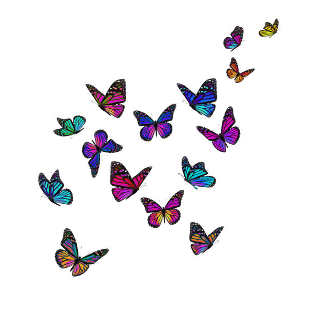 istock Beautiful monarch butterfly 907469796