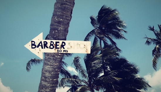 Sign of a Barber Shop location on a palm tree for the view of tourist.