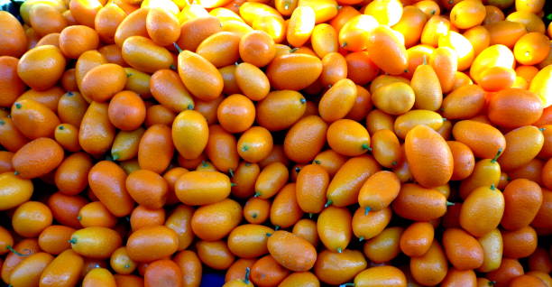 istock Kumquat fruits 907485302
