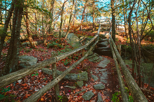 Trail in Mohonk Preserve