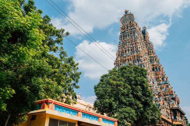 храм минакши амман в мадурае, индия - tamil nadu tamil temple amman стоковые фото и изображения