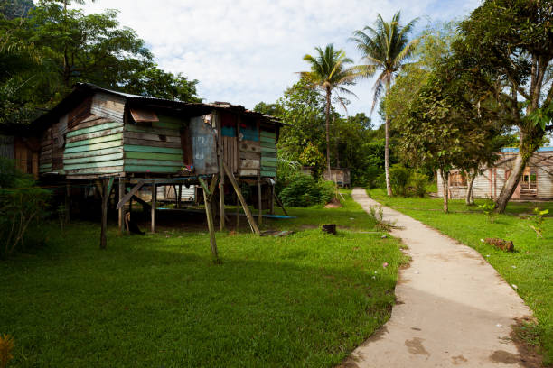 istock Small village in borneo 907495608