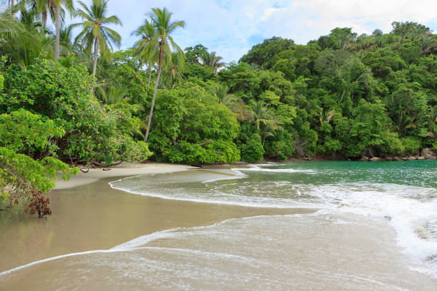 istock Beach Manuel Antonio Costa Rica 907505068
