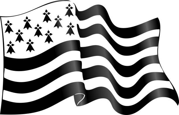 vektor schwarz-weiß winken breton flagge mit schatten - bretagne stock-grafiken, -clipart, -cartoons und -symbole