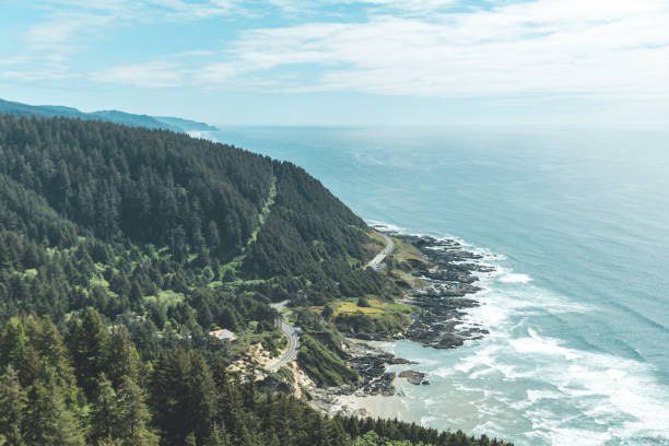 istock Aerial View of Oregon Coast 907555508