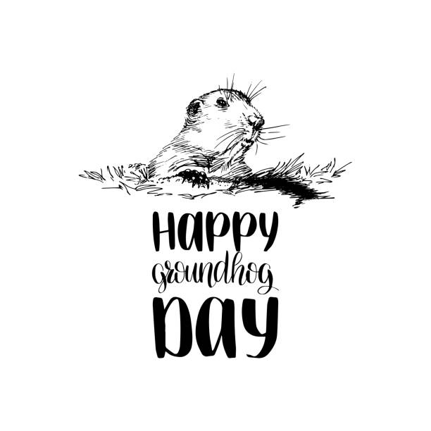 ilustraciones, imágenes clip art, dibujos animados e iconos de stock de feliz día de la marmota vector bosquejado ilustración con el deletreado de la mano. tarjeta de felicitación de 2 de febrero, cartel etcetera - groundhog