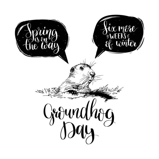 vector happy groundhog day naszkicował ilustrację z napisem ręcznym. 2 lutego kartka z życzeniami, plakat itp - groundhog stock illustrations