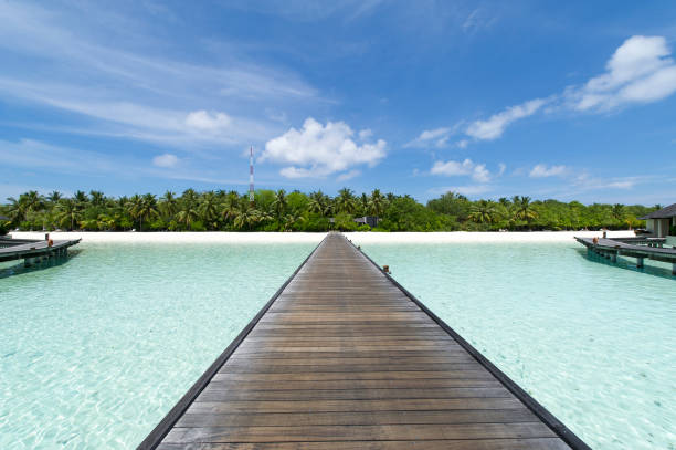 istock Maldives paradise tropical island 907571960
