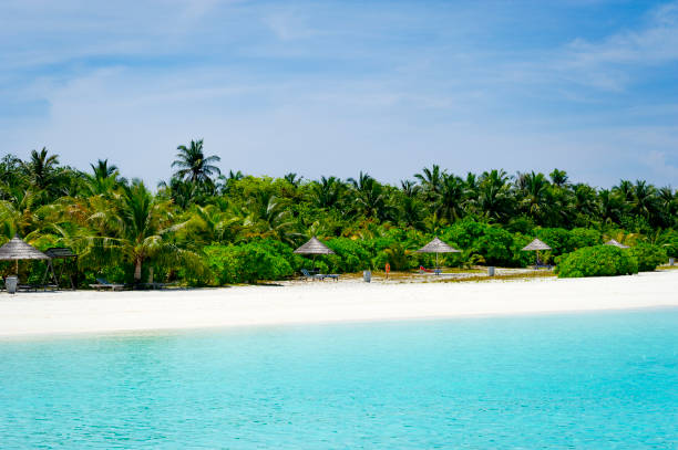 istock Maldives paradise tropical island 907575260