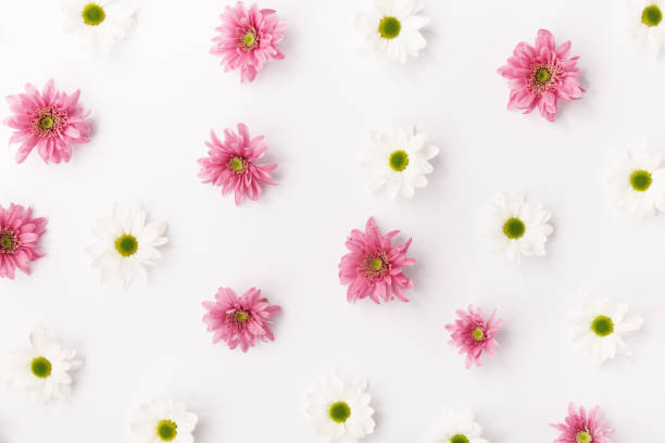 istock Abstract white and pink flowers 907575476