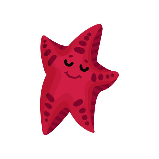 Ilustración de Carácter De Estrella De Mar De Divertidos Dibujos Animados En Color Borgoña Vector De Dibujos Animados Animales Invertebrados Mar Ilustración y más Vectores Libres de Derechos de Alemania - iStock Ilustración de Carácter De Estrella De Mar De Divertidos Dibujos Animados En Color Borgoña Vector De Dibujos Animados Animales Invertebrados Mar Ilustración y más Vectores Libres de Derechos de Alemania - iStock