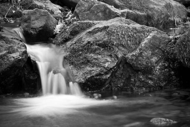 istock beautiful streaming flow, river waterfall in long exposure in fall season 907590420