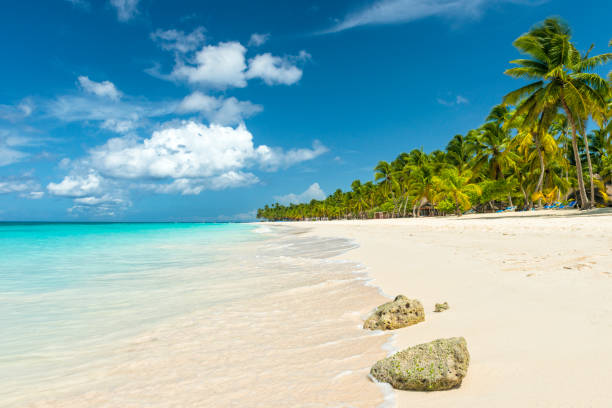 istock Beautiful beach in the Caribbean ocean and blue sky with some clouds 907593686