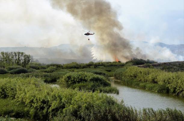 istock Fire caused by the destruction  humans. 907620190