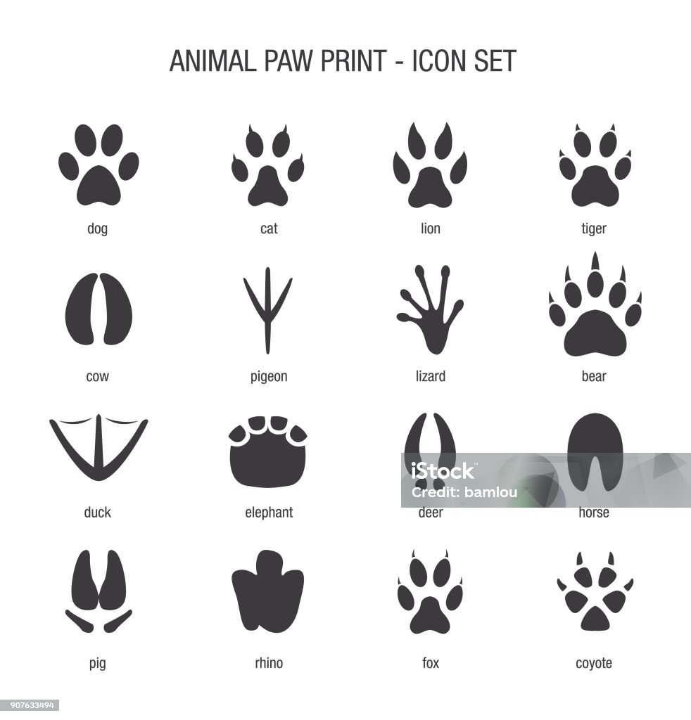 Animal Paw Print Icon Set Vector of Animal Paw Print Icon Set Footprint stock vector