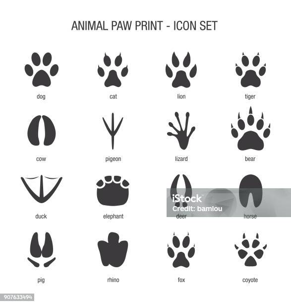 Animal Paw Print Icon Set Stock Illustration - Download Image Now - Footprint, Paw Print, Track - Imprint