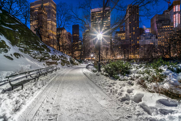 istock Central Park, New York City 907634198