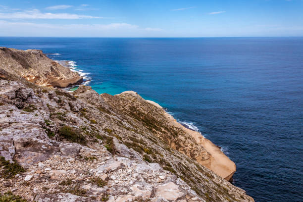 istock The cliffs of Cape Sainte Marie 907634482