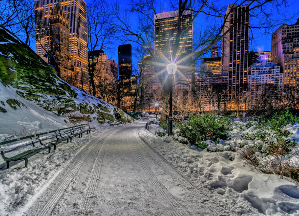 istock Central Park, New York City 907640642