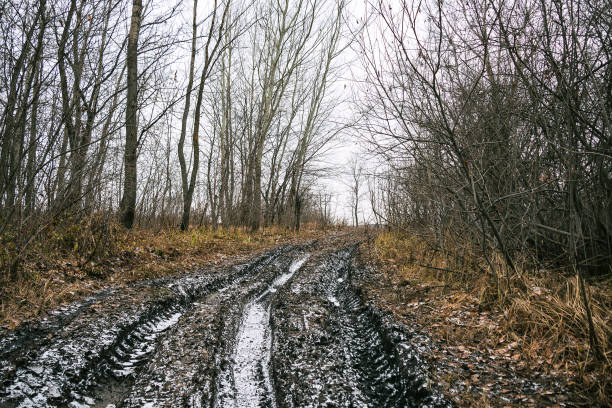 An impassable road, off-road track in autumn forest. Late autumn, early winter