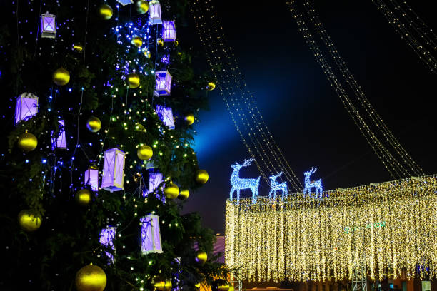 istock Christmas tree on Saint Sophia Square. Kiev, Ukraine 907646390