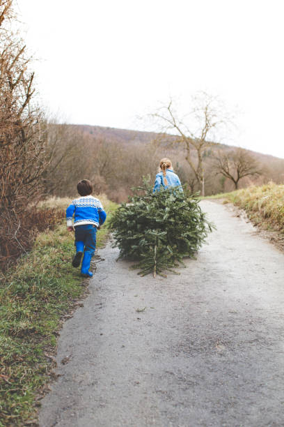 istock cool brother and sister are pulling an old christmas tree for knut 907648734