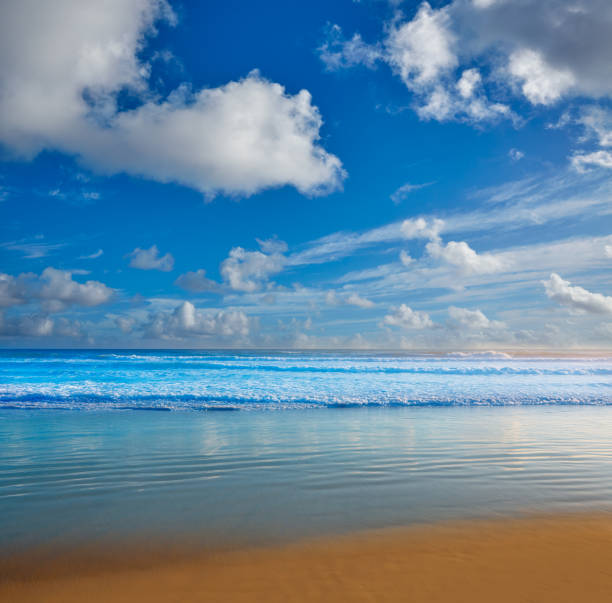 istock Daytona Beach in Florida shore USA 907649074