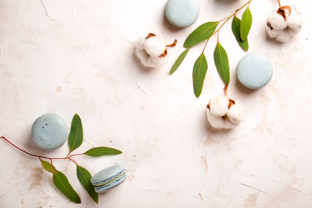 french blueberry macarons dessert buiscits on wooden white pink textured background - close up cookie gourmet food imagens e fotografias de stock