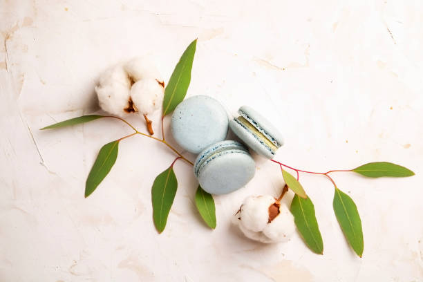 french blueberry macarons dessert buiscits on wooden white pink textured background - close up cookie gourmet food imagens e fotografias de stock