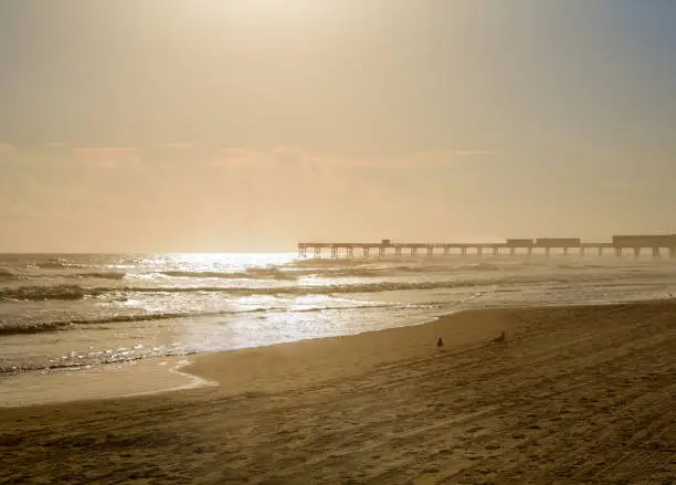 Daytona Beach in Florida shore with pier USA
