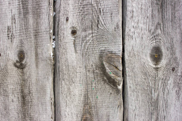 istock Texture old wood texture with natural pattern or texture of the old wood. White surface with wood texture 907653926