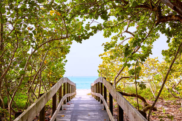 istock Florida bonita Bay Barefoot beach US 907656892