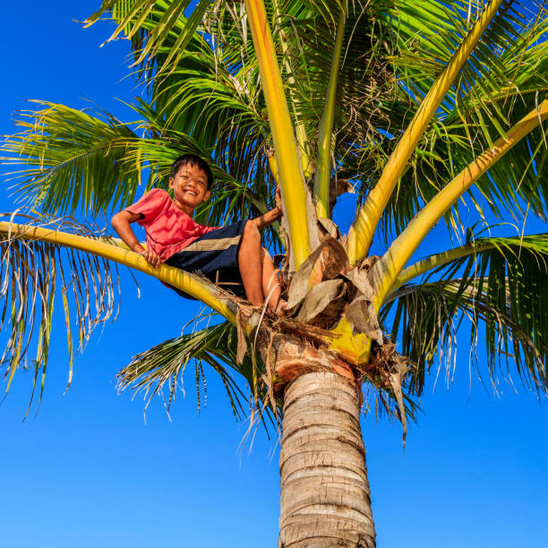 Boy on the background of palm trees.