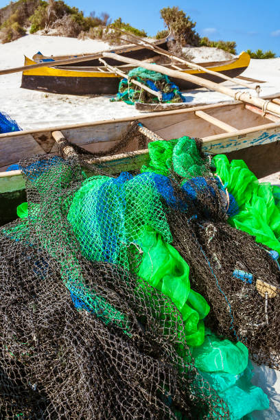 istock Malagasy fishing canoes 907666746