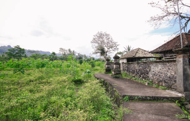 istock Cemetery Temple in Balinese Village 907671554