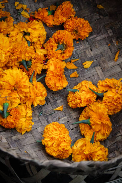 Ubud, Bali,  Flower Market with Carnations. these flowers are used to create religious offerings in Hindu and Buddhist traditions