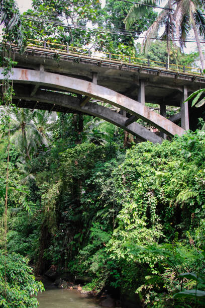 istock Traditional Bridge over river in Bali 907677644